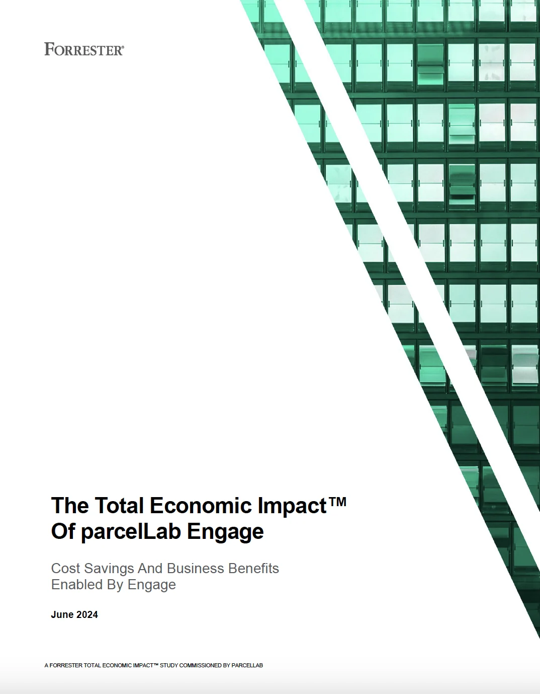 The-Total-Economic-Impact-of-parcelLab-Engage